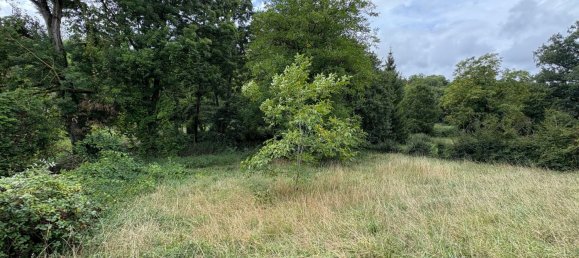 6غرفة منزل في Brigueil-le-Chantre, France رقم 338075 18