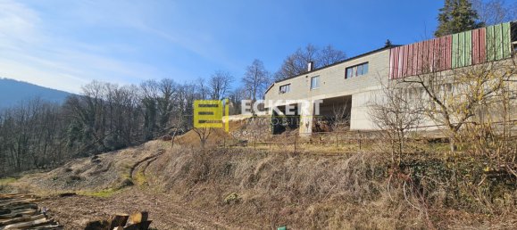  Land in Heiligenberg, France No. 240944 4