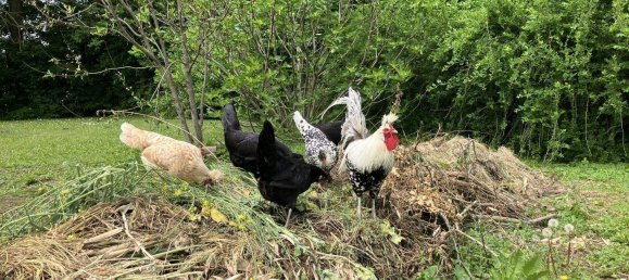 5 rooms House in Eberau, Austria No. 184796 18