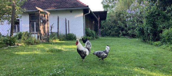 5 rooms House in Eberau, Austria No. 184796 19