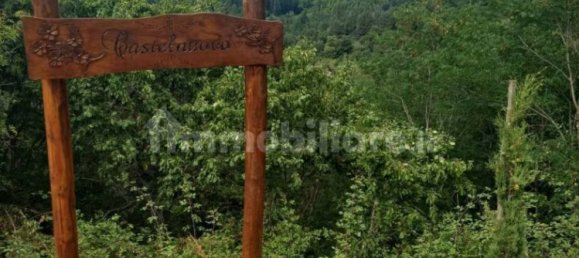 2 chambres Maison à Rufina, Italy No. 299192 8