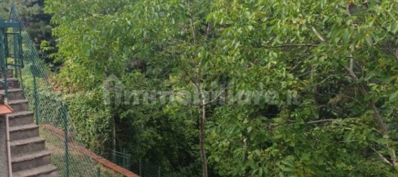 2 chambres Maison à Rufina, Italy No. 299192 5