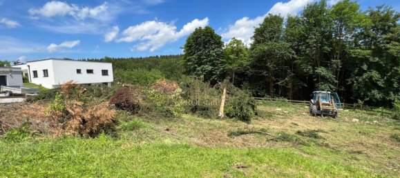  Land in Buchkirchen, Austria No. 128186 3