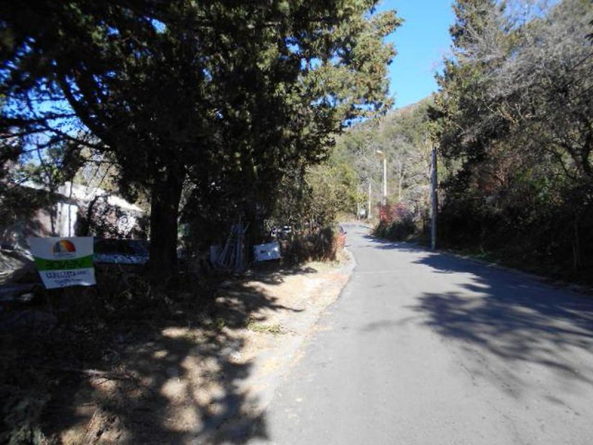 Terrain à San Luis, Argentina No. 32359