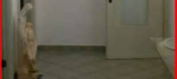 6 chambres Appartement à Torchiarolo, Italy No. 346487 11