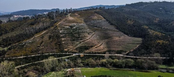 6 غرف نوم منزل في Paredes, Portugal رقم 6611 4