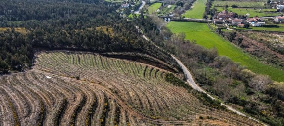 6 غرف نوم منزل في Paredes, Portugal رقم 6611 6