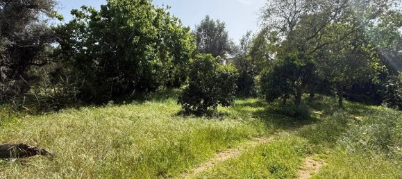 2340m² Land in Almancil, Portugal No. 203057 9