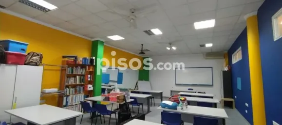 Gewerbliche Immobilie in Arcos de la Frontera, Spain 200m², Nr. 100080 5