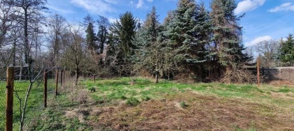 3 غرف نوم منزل في Saxony-Anhalt, Germany رقم 188463 29