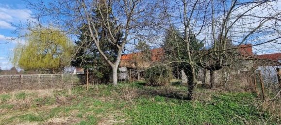 3 غرف نوم منزل في Saxony-Anhalt, Germany رقم 188463 28