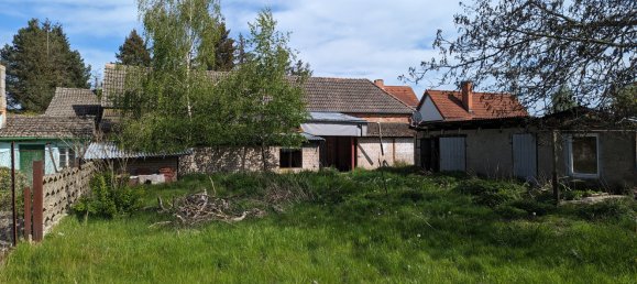 9-Zimmer Schlösser in Brandenburg, Germany, Nr. 29718 33