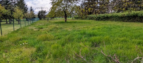 9-Zimmer Schlösser in Brandenburg, Germany, Nr. 29718 7