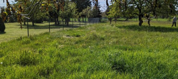 9-Zimmer Schlösser in Brandenburg, Germany, Nr. 29718 4