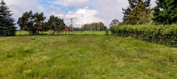 9-Zimmer Schlösser in Brandenburg, Germany, Nr. 29718 2