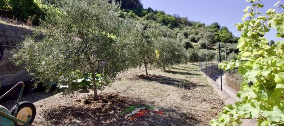 3 rooms Villa in Soldano, Italy No. 147445 37