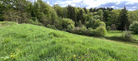 Terreno em Sinabelkirchen, Austria N.º 163255 2