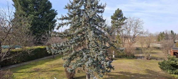 Дом с 6 комнатами в Зефельд-Кадольц, Австрия № 169667 24