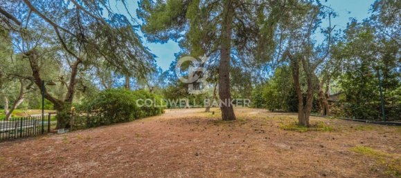 4 chambres Maison à Bitonto, Italy No. 65986 27