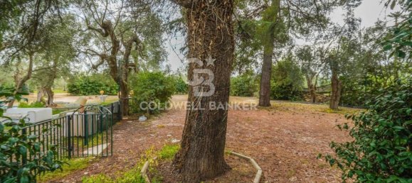 4 chambres Maison à Bitonto, Italy No. 65986 28