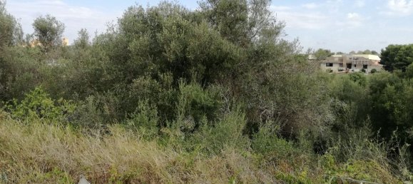 3750m² Land in Pachino, Italy No. 66632 5
