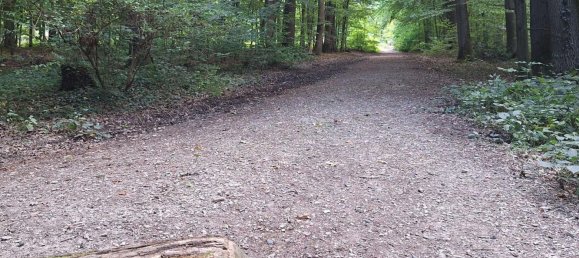 2 bedrooms Apartment in Hochtaunuskreis, Germany No. 335284 4