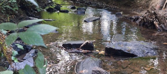 2 bedrooms Apartment in Hochtaunuskreis, Germany No. 335284 5