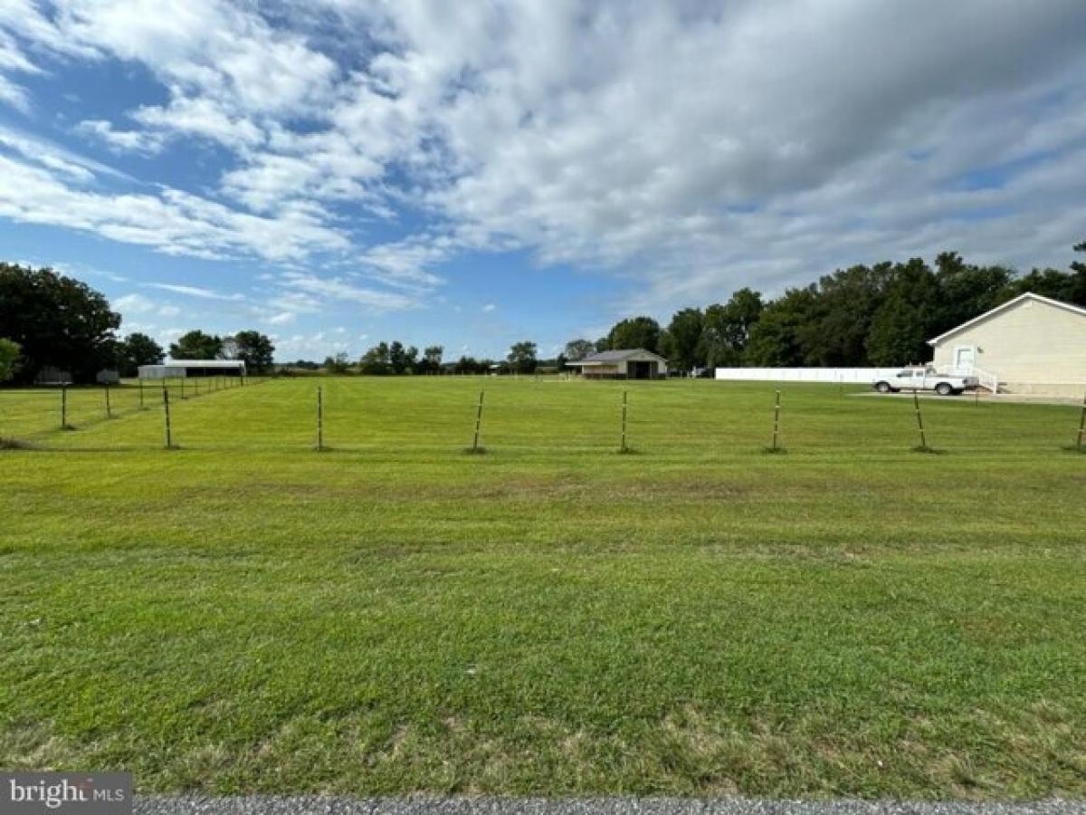  Land in Selbyville, USA No. 474227