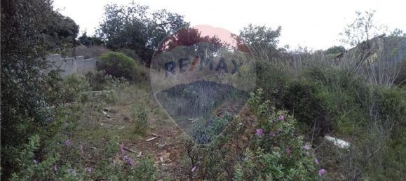 Grundstück in Loule, Portugal 2700m², Nr. 78329 3