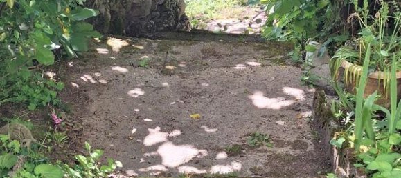 3 bedrooms House in Lot, France No. 284337 2