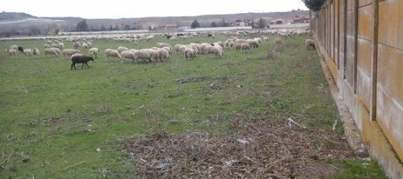 10324m² Land in Simancas, Spain No. 132571 6