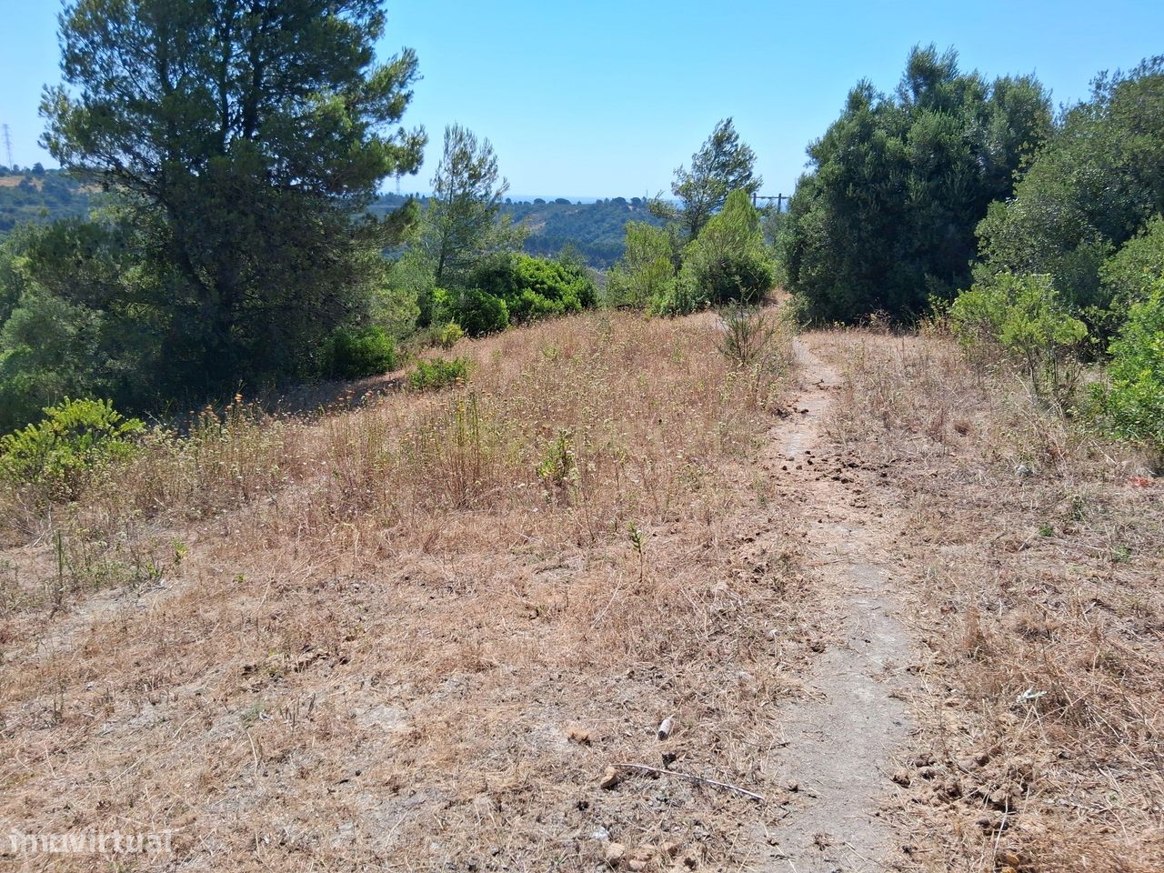 19520m² Land in Aveiras de Baixo, Portugal No. 242847