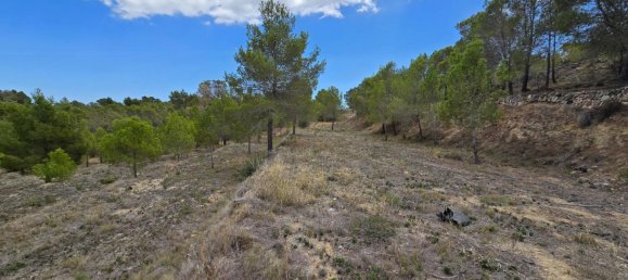  قطعة أرض في La Nucia, Spain 16000متر مربع رقم 42073 5