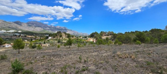  قطعة أرض في La Nucia, Spain 16000متر مربع رقم 42073 6