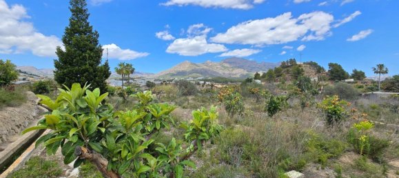  قطعة أرض في La Nucia, Spain 16000متر مربع رقم 42073 8