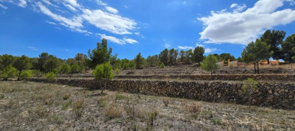  قطعة أرض في La Nucia, Spain 16000متر مربع رقم 42073 38