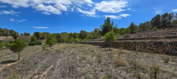  قطعة أرض في La Nucia, Spain 16000متر مربع رقم 42073 39