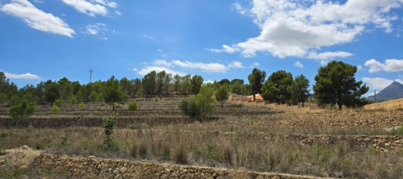  قطعة أرض في La Nucia, Spain 16000متر مربع رقم 42073 17