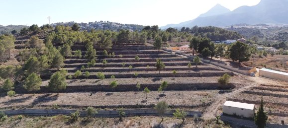  قطعة أرض في La Nucia, Spain 16000متر مربع رقم 42073 25