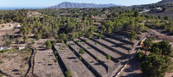  قطعة أرض في La Nucia, Spain 16000متر مربع رقم 42073 28