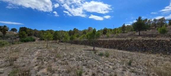  قطعة أرض في La Nucia, Spain 16000متر مربع رقم 42073 35