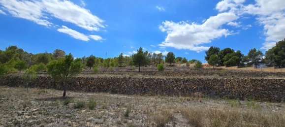  قطعة أرض في La Nucia, Spain 16000متر مربع رقم 42073 36