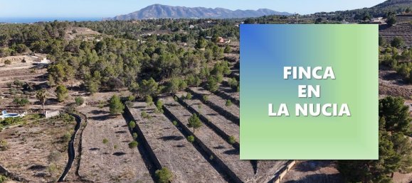  قطعة أرض في La Nucia, Spain 16000متر مربع رقم 42073 2