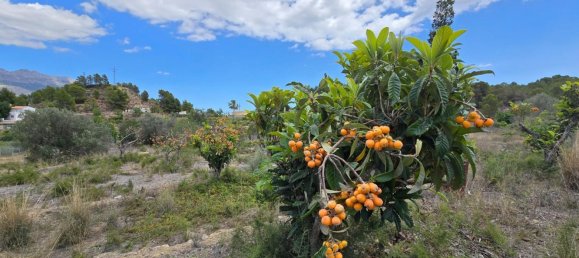  قطعة أرض في La Nucia, Spain 16000متر مربع رقم 42073 27