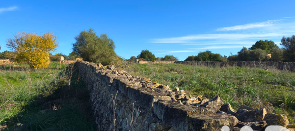 14125m² Land in Santa Margalida, Spain No. 292343 25