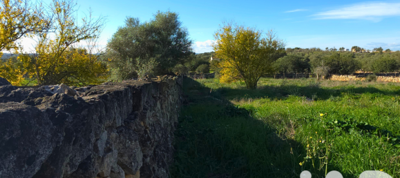 14125m² Land in Santa Margalida, Spain No. 292343 28
