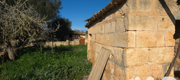 14125m² Land in Santa Margalida, Spain No. 292343 10