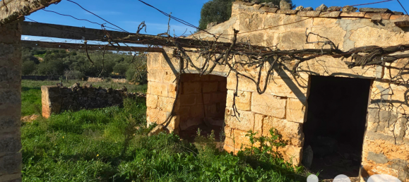 14125m² Land in Santa Margalida, Spain No. 292343 6