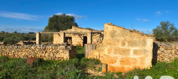 14125m² Land in Santa Margalida, Spain No. 292343 14