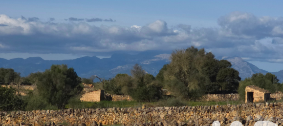 14125m² Land in Santa Margalida, Spain No. 292343 3